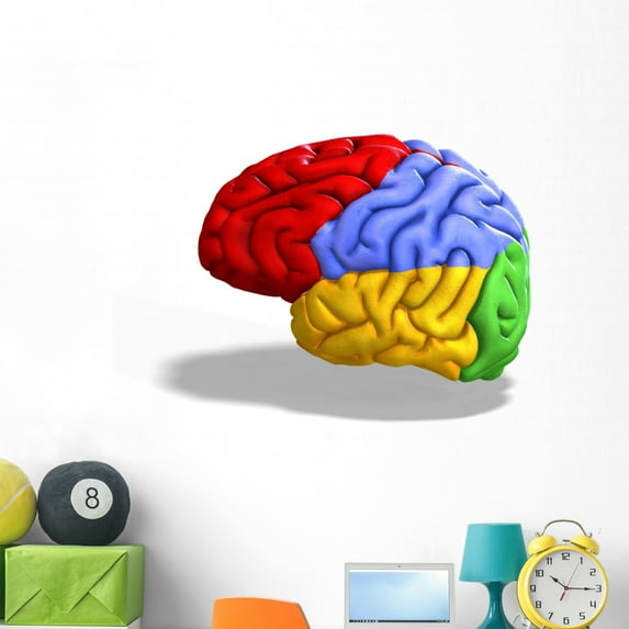Schematic Human Brain with Wall Decal by Wallmonkeys Peel and Stick Graphic (48 in W x 38 in H) WM9104