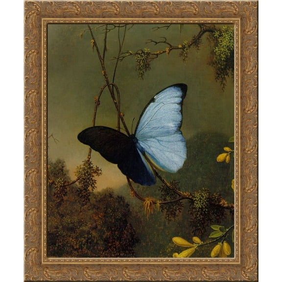 Blue Morpho Butterfly 24x20 Gold Ornate Wood Framed Canvas Art by Martin Johnson Heade