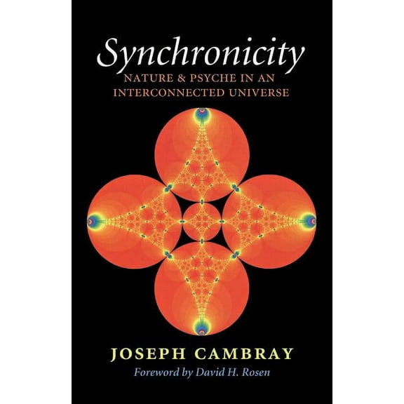 Carolyn and Ernest Fay Analytical Psycho Synchronicity: Nature and Psyche in an Interconnected Universe Volume 15, Book 15, (Paperback)