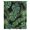Black, Green, Sage, variant on Tropical Leaves Sheer Curtains 45 Inches Long for Bedroom, Country Summer Botanical Palm Leaf Light Filtering Privacy Drapes, Breathable Semi Sheer Short Window Treatment for Kitchen Cafe Bathroom