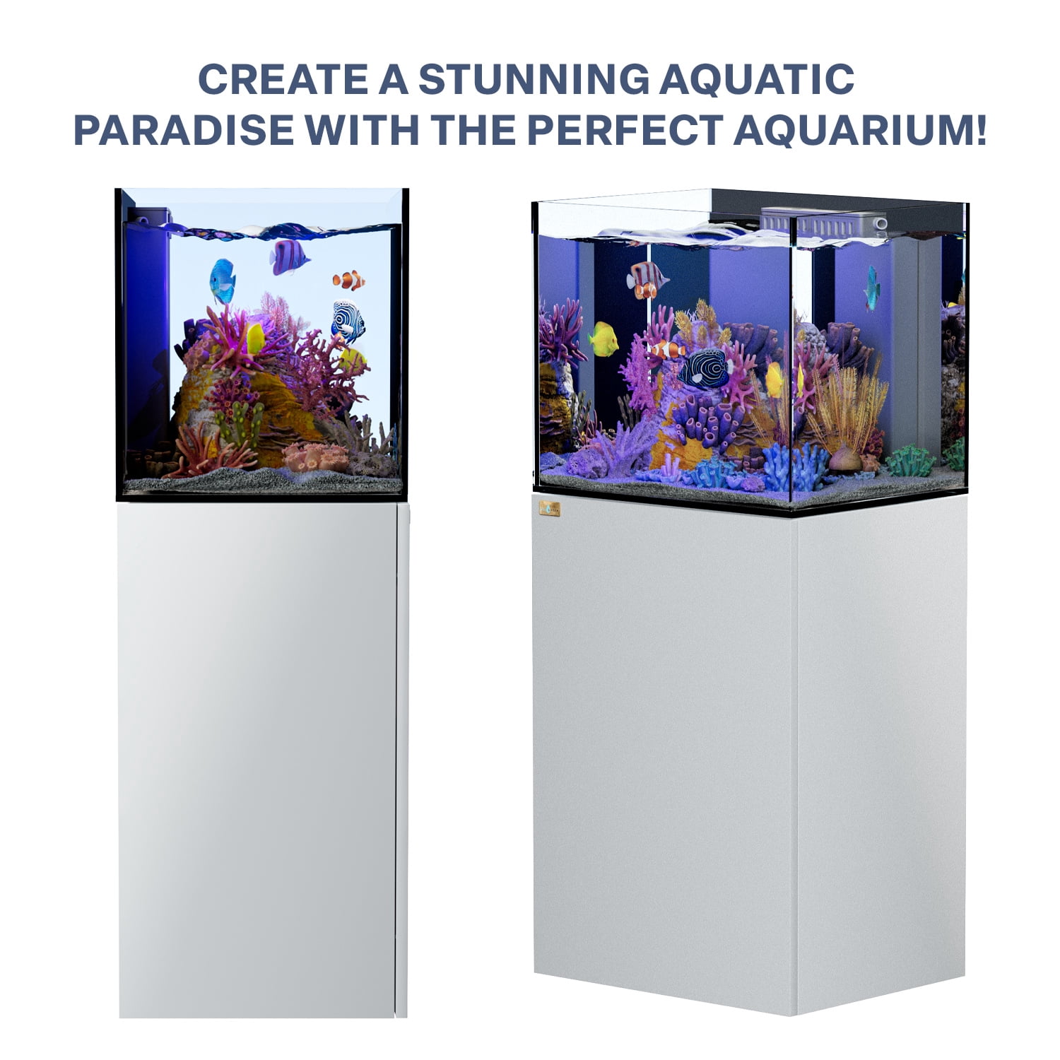 37 Gallon Coral Reef Aquarium Fish Tank Ultra Clear Glass with Built-in Sump