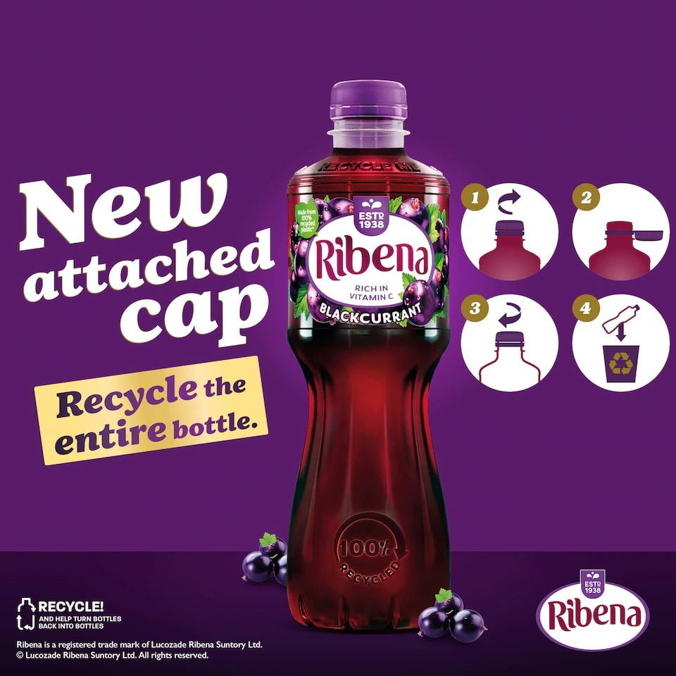 Ribena Blackcurrant Juice Bottle 500ml (Pack of 12)