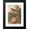 thumbnail image 2 of Johann Friedrich Naumann 11x14 Black Modern Framed Museum Art Print Titled - Sylvia, 2 of 5