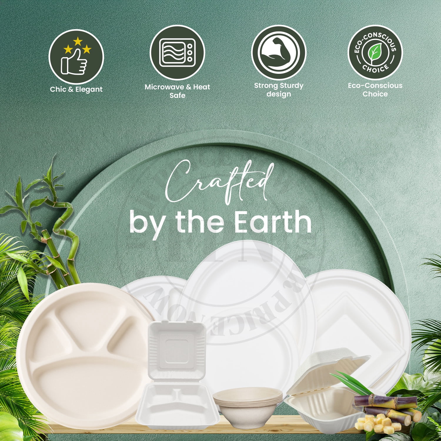 FPN Disposable Plates 4 Compartment 125 Pack 12x12 in Bagasse Compostable