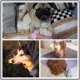 thumbnail image 5 of Juguete de peluche de elefante de cuatro patas para mascotas, juguete para perro con forma de cerdo y pato rosa a rayas que hace sonidos, 5 of 5
