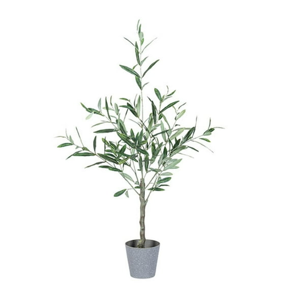Gerson 3 ft High Olive Tree with Plastic Pot
