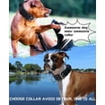 thumbnail image 4 of Collar de perro HQSHNY negro resistente para perros de razas gigantes, 4 of 6