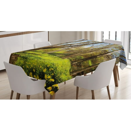 

Nature Tablecloth Spring Forest Flower Field and Trees Dreamy Eco in Sunny Bright Sky Landscape Rectangular Table Cover for Dining Room Kitchen 60 X 84 Inches Yellow Blue Brown by Ambesonne