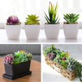 thumbnail image 3 of Set de plantas suculentas artificiales Anoak, 16 unidades, falsas, sin macetas, 3 of 9