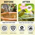 thumbnail image 3 of Paquete de 5 discos de baño para aves de cobre, adornos de baño para aves de cobre mini para decoraciones de tazones/ exteriores, 3 of 7