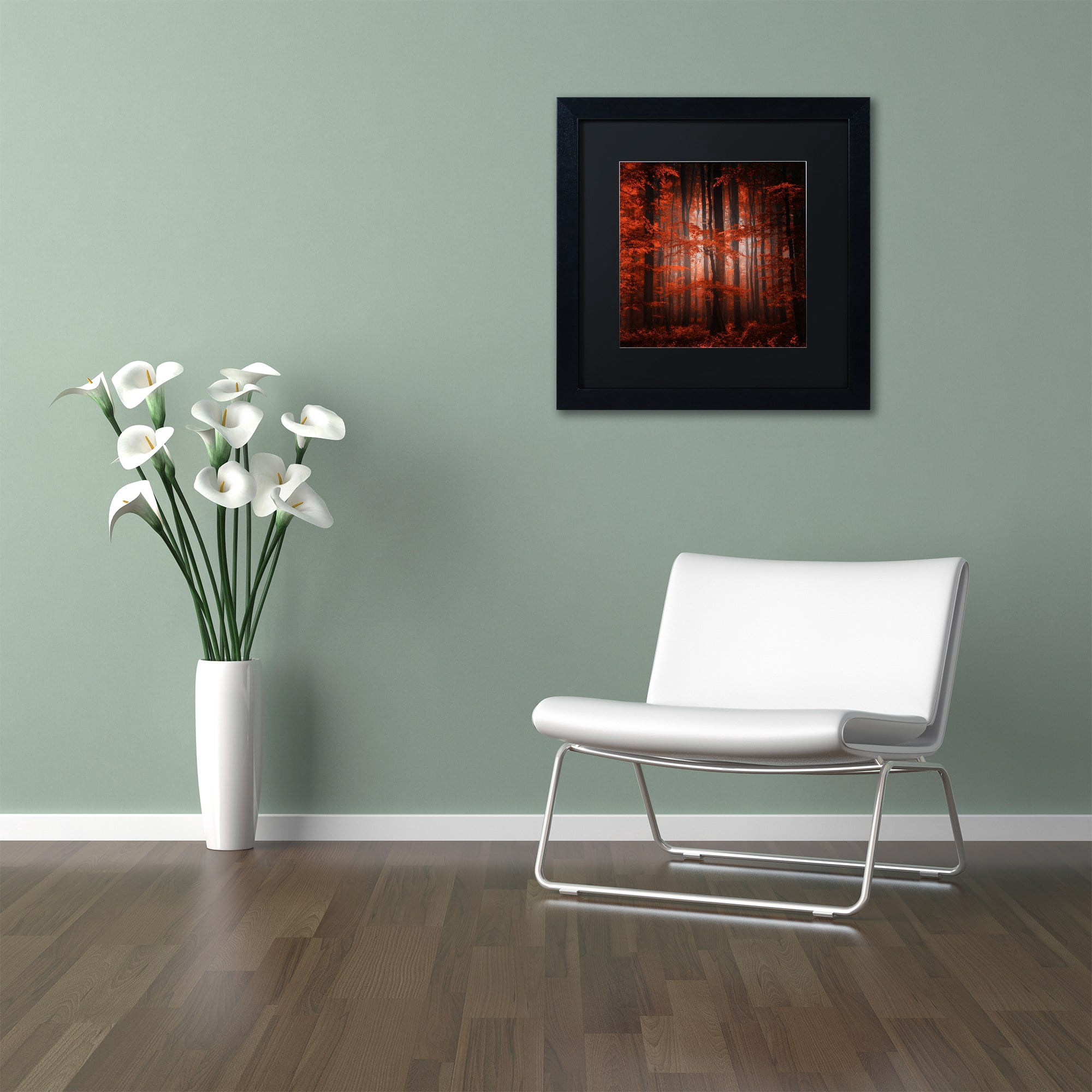 Trademark Fine Art "Red Parallel Universe" Canvas Art by Philippe Sainte-Laudy Black Matte, Black Frame