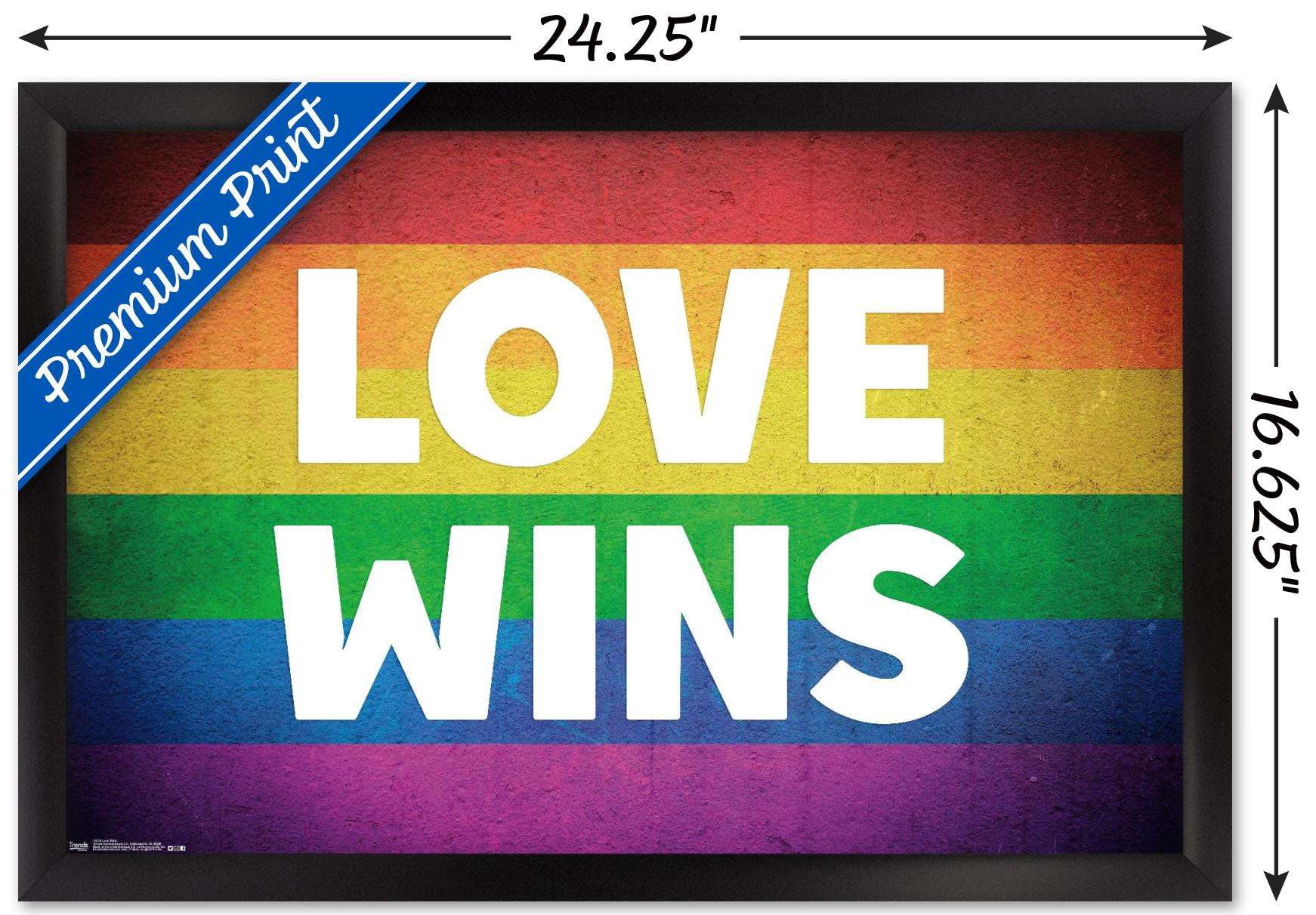 Love Wins Wall Poster, 14.725" x 22.375", Framed