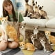 thumbnail image 3 of Vogacara Peluches con expresiones realistas, peluches coleccionables para niños, hechos con cuidado Animales de peluche y juguetes de peluche gato siames 20 cm 0.1 kg, 3 of 6