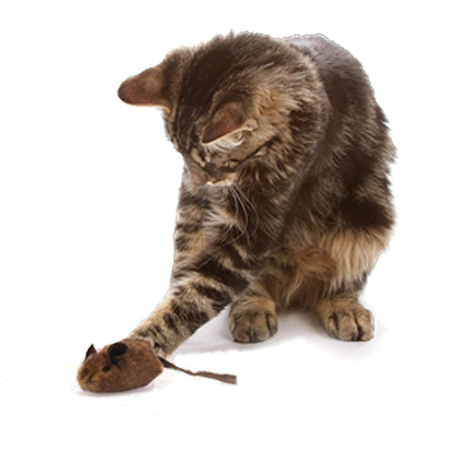 Free Shipping OurPets Play-N-Squeak Mice with RealMouse Sound Interactive Cat.. 