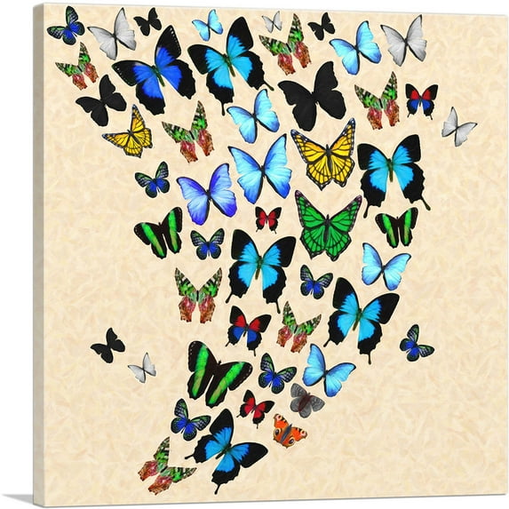 ARTCANVAS Colorful Butterfly Wings Insect Light Tan Canvas Art Print - Size: 12" x 12" (0.75" Deep)