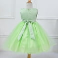thumbnail image 3 of Little Girls' Sequin Mesh Tull Dress Sleeveless Flower Party Ball Gown,Green,3-4T, 3 of 5