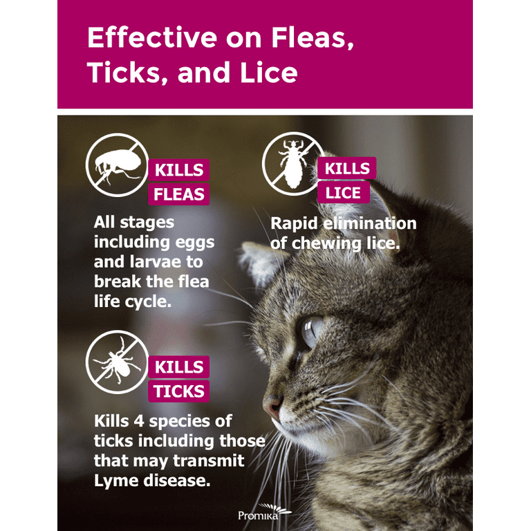 Zoguard plus for cats cheap reviews