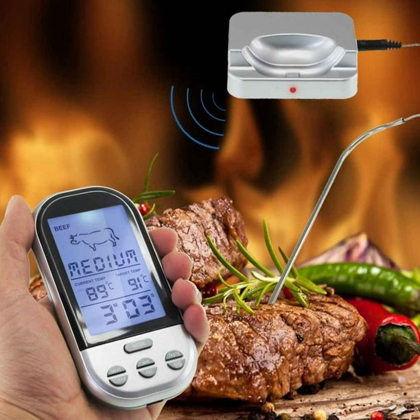 FixtureDisplays Sonde de thermomètre à viande numérique pour barbecue,  four, barbecue et fumoir avec alarme minuterie Fixturedisplays 16810 -  Wayfair Canada