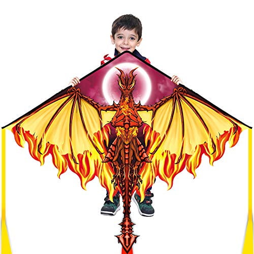 Mint's Colorful Life Dragon Delta Kite for Kids Adults, Polyester