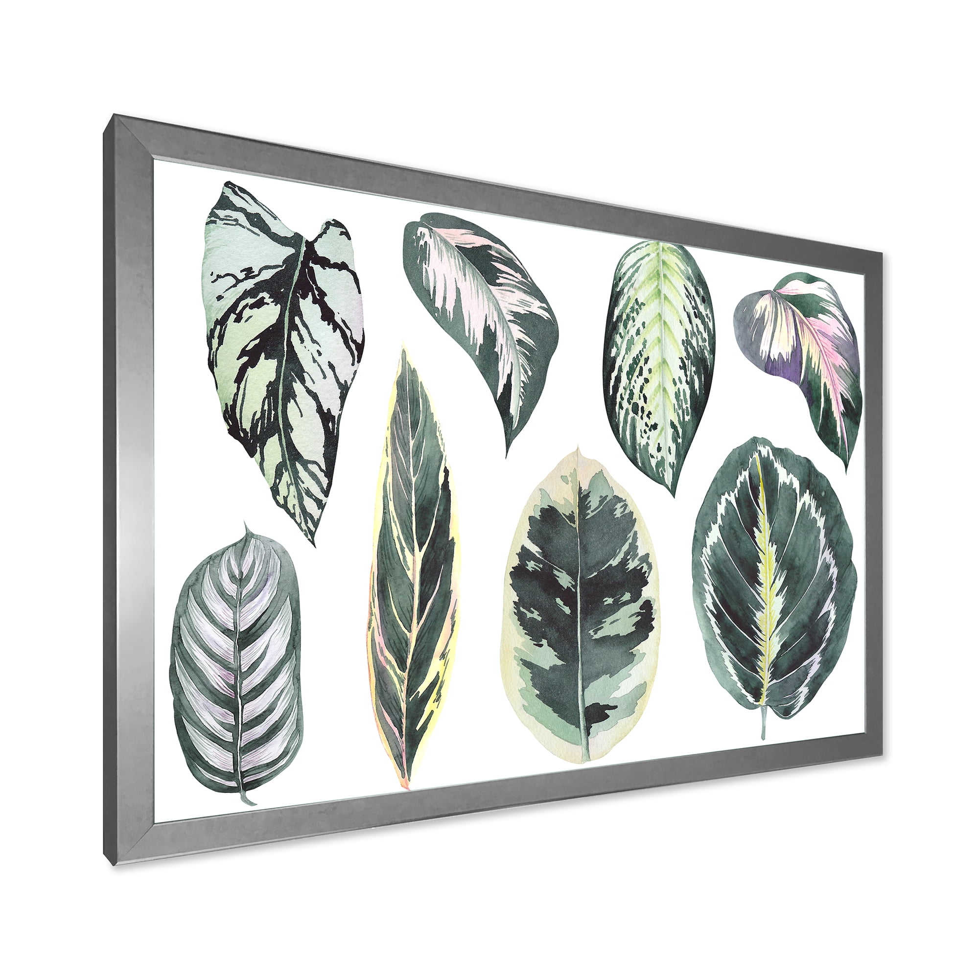 Designart 'Tropical Calathea Leaves On White' Bohemian & Eclectic Framed Art Print