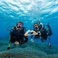 thumbnail image 5 of Tusa Paragon S Mask Scuba Diving, FreeDiving, Snorkeling, 5 of 9