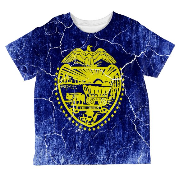 Oregon Vintage Distressed State Flag All Over Toddler T Shirt Multi 4T