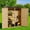 wood, variant on Aiho 55” Wide Outdoor Storage Shed with Lockable Double Doors - Weather-Resistant Garden Shed for Patio, Backyard & Lawn, Natural