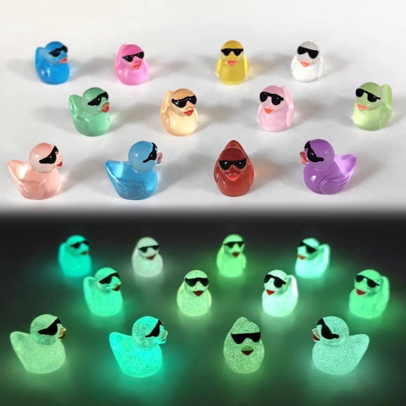 24pcs Glow-in-the-Dark Ducks with Fashion Glasses - 12 Color Resin Figurines for Fairy Gardens, DIY Dollhouse, Aquarium & Outdoor Decor, No Batteries Needed