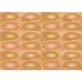 thumbnail image 1 of Ahgly Company Machine Washable Indoor Rectangle Transitional Neon Orange Area Rugs, 3' x 5', 1 of 7