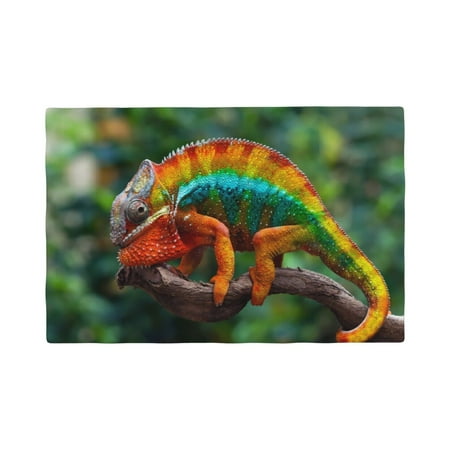 

Placemats Set of 4 Chameleon Heat Resistant Non - Slip Place mats Waterproof table mat for Kitchen Dining-4片装