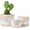 Rainbow Pearl Glaze, variant on BUYMAX 4+5+6 Inch Set of 3 Ceramic Plant Pots, White, Nature Flower Pots with Drainage Hole and Tray Indoor Planter Pots
