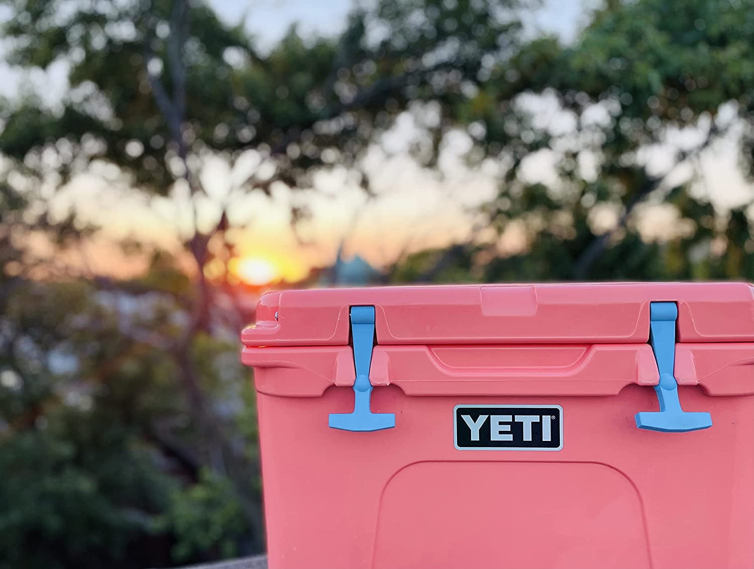 Buy Replacement Latches (2Pack) Compatible with Yeti Tundra Yeti