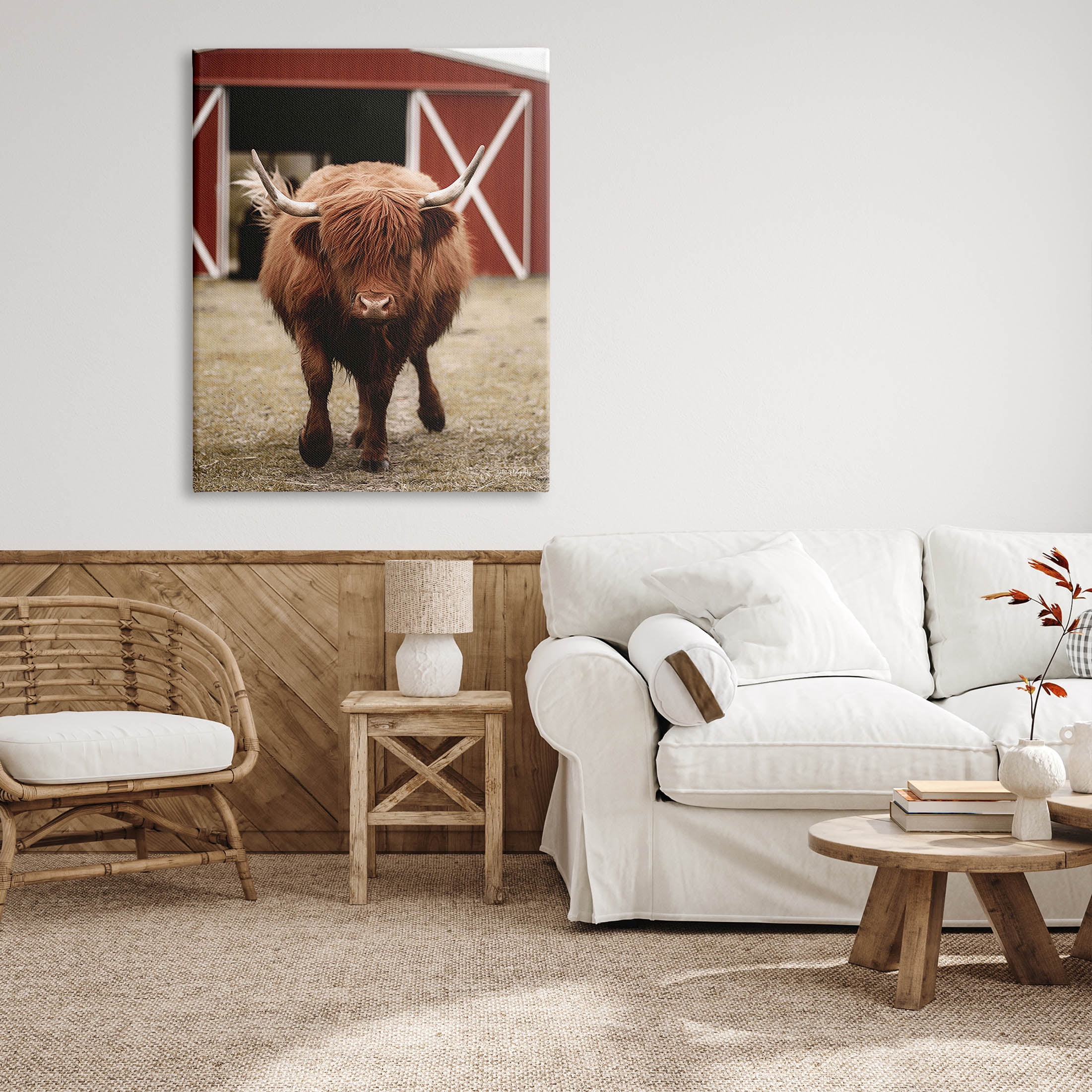 Stupell Industries Trotting Highland Cattle Bold Red Barn Photograph Gallery Wrapped Canvas Print Wall Art, Design by Dakota Diener