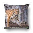 thumbnail image 1 of BOSDECO Tiger Come Over To Me And Getting Angry Pillowcase Pillow Cushion Cover 20x20 inch, 1 of 1