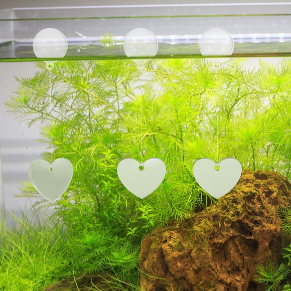 BESTYASH 2Sets Transparent Betta Fish Mirror for Axolotls Fish Tank Decorations Small