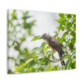 thumbnail image 2 of Hunting Cuckoo Bird Print Animal Wall Art Wildlife Canvas Prints Wall Art Ready to Hang Unframed, 2 of 18