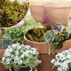 thumbnail image 5 of ¡Ofertas relámpago! Flores artificiales Accaprate, musgo artificial para plantas en maceta, musgo verde, decoración del hogar, jardín de hadas, manualidades, decoración de bodas, plantas artificiales, 5 of 8