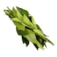 thumbnail image 2 of Hoja de naranjo por pieza, 2 of 3