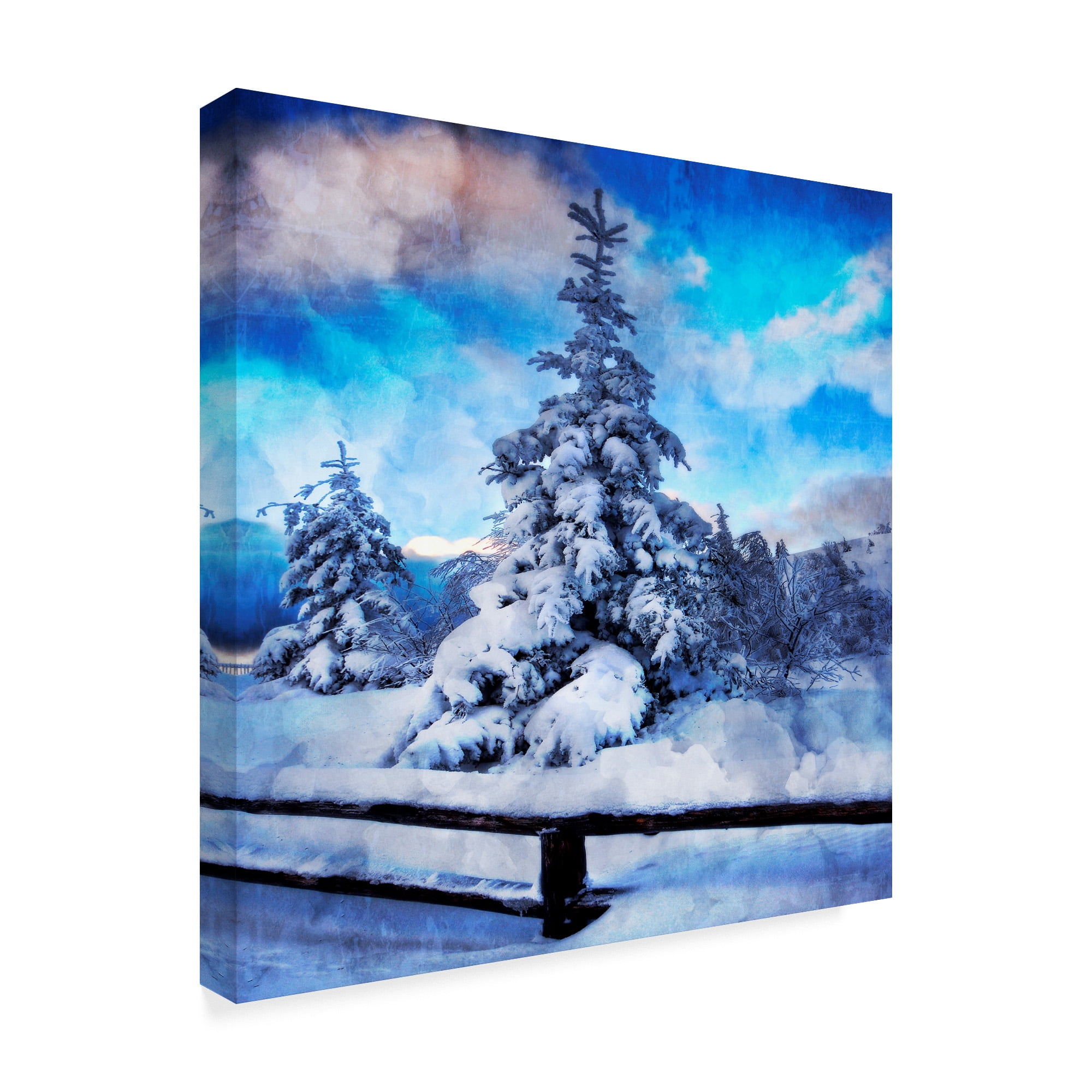 Trademark Fine Art 'My Beautiful Fir Tree' Canvas Art by Philippe Sainte-Laudy