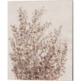 thumbnail image 2 of Great Art Now Rustic Wildflowers by Timothy O'Toole 2 Piece Canvas Art Set Each 12"W x 15"H, 2 of 3