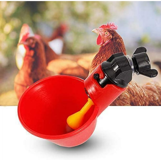 Bebedero para pollos, 5 uds., bebedero automático para gallinas y pollitos, tazas para pollo de acero inoxidable, pezones laterales horizontales, bebedero para pollos, aves de corral y conejos (tazón de agua con tornillo fijo) brillar Electrónica
