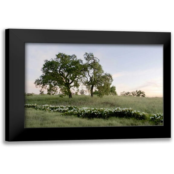 Blaustein, Alan 14x11 Black Modern Framed Museum Art Print Titled - Oak Tree - 85
