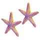 thumbnail image 4 of Juguete de Estrella de Mar, Textura única Detalla de Simulación de Múltiples Propósito Starfish de Resina para Adornos para Regalos para Niños, 4 of 7