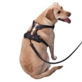 thumbnail image 2 of Vsdgher Romantic Rose Animal Couple Pattern Dog Harness,No Pull Pet Harness with Soft Padded Handle,Adjustable Reflective Vest with 2 Buckles,4 Slide Buckles,S-XL Small, 2 of 5
