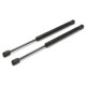 thumbnail image 1 of 2Pcs Rear Trunk For R170 Convertible 1996-2004 1707500036, 1 of 5