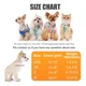 thumbnail image 3 of Arnés Para Perro Con Correa Set, Step-in Transpirable Cac..., 3 of 6