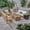 Teak/Cream/Brown, variant on Tucson Outdoor 6 Piece Acacia Wood Conversational Sofa Set with Cushions and Fire Pit, Teak, Cream, Brown