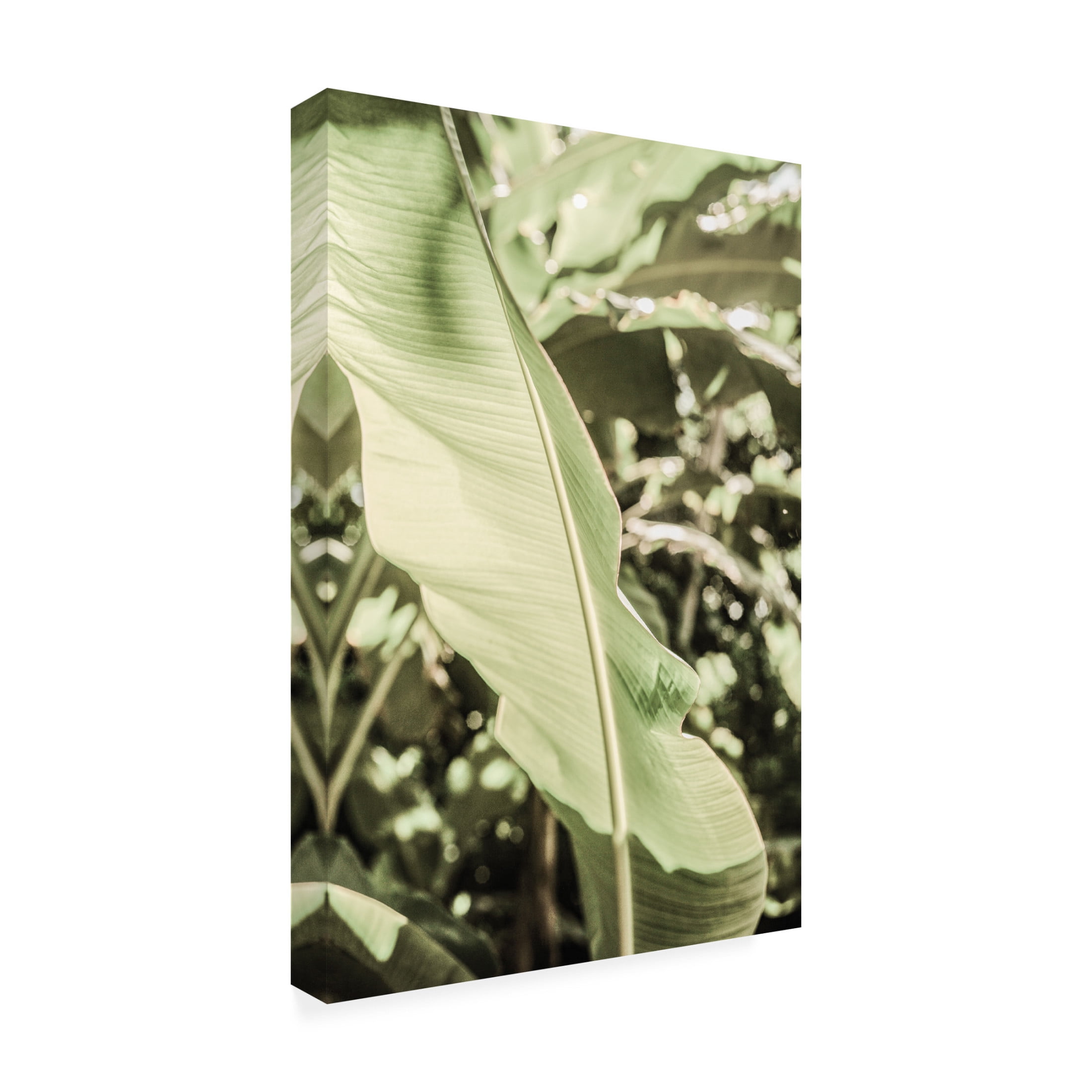 Trademark Fine Art Shot by Clint Lime Lightning Canvas Wall Art