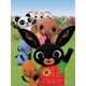 thumbnail image 1 of Cuadros Decorativos DIY taladro redondo completo diamante pintura 5D animales en hierba cartel Kit artesanía Sywqhk Nuevos Originales, 1 of 9