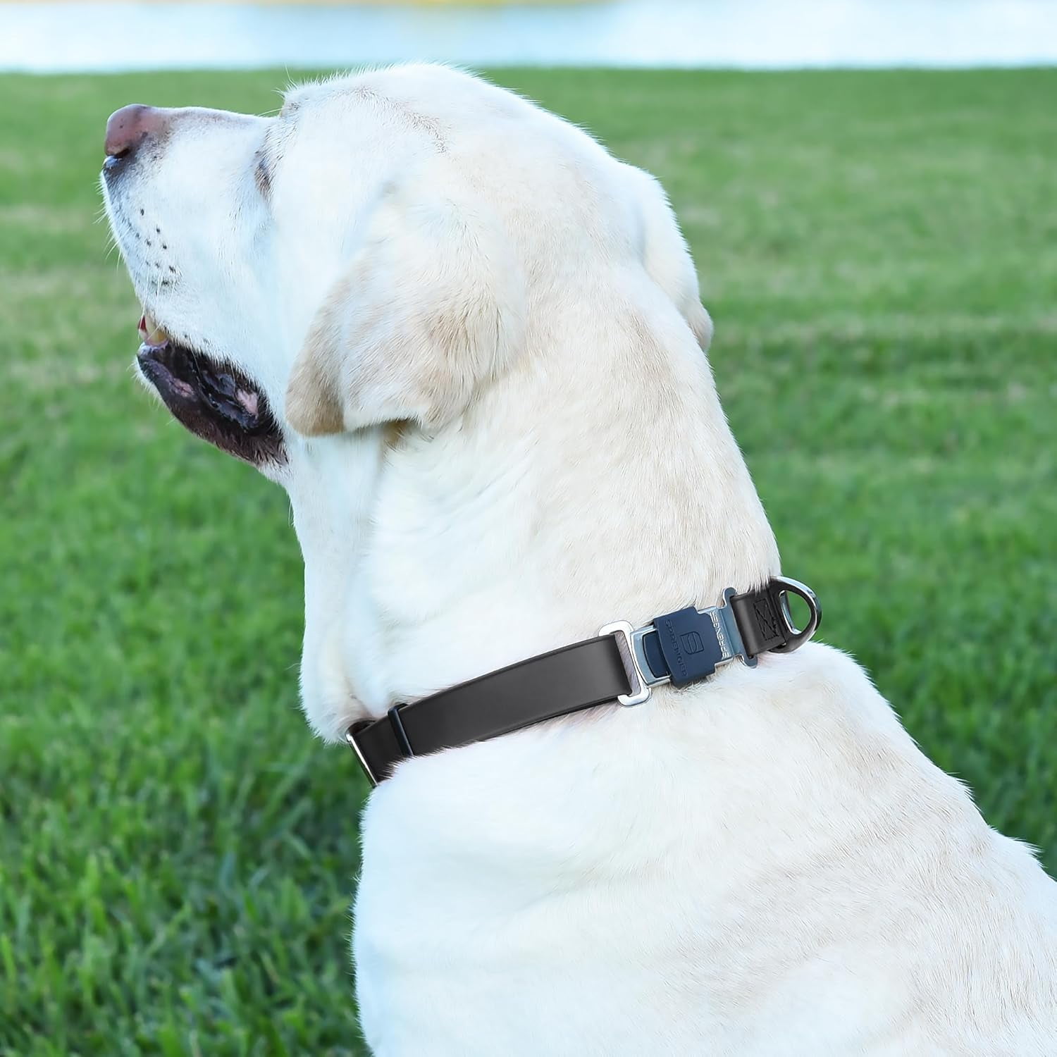 Waterproof Dog Collar with  Stainless Steel Quick Release Buckle – Heavy Duty Tactical Durable Collar for Dogs – Comfortable and Safe Pet Collar W1 L 15-25"